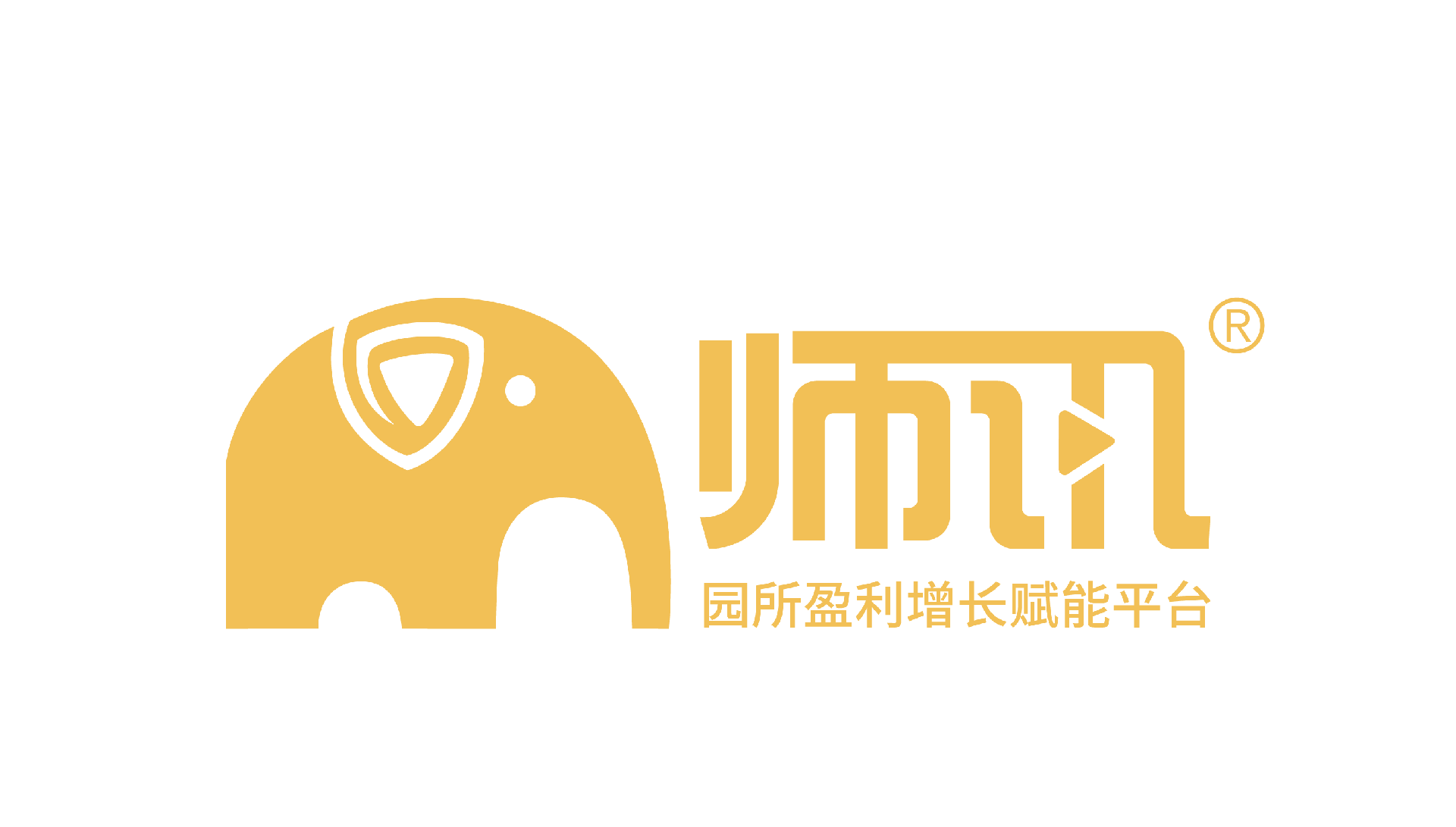 师讯logo-03.png